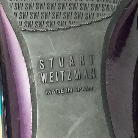 Stuart Weitzman Flats - Picture 10 of 11